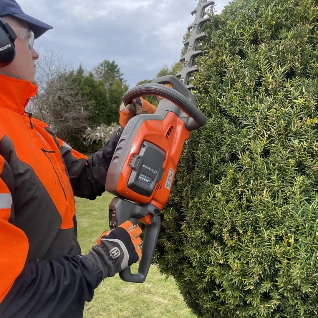 Professionell häckklippning med batteridriven häcksax