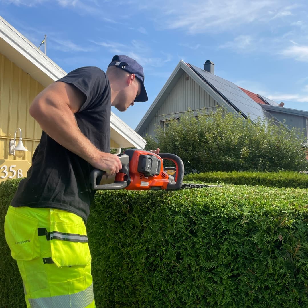 Häckklippning i Göteborg av professionell trädgårdsmästare