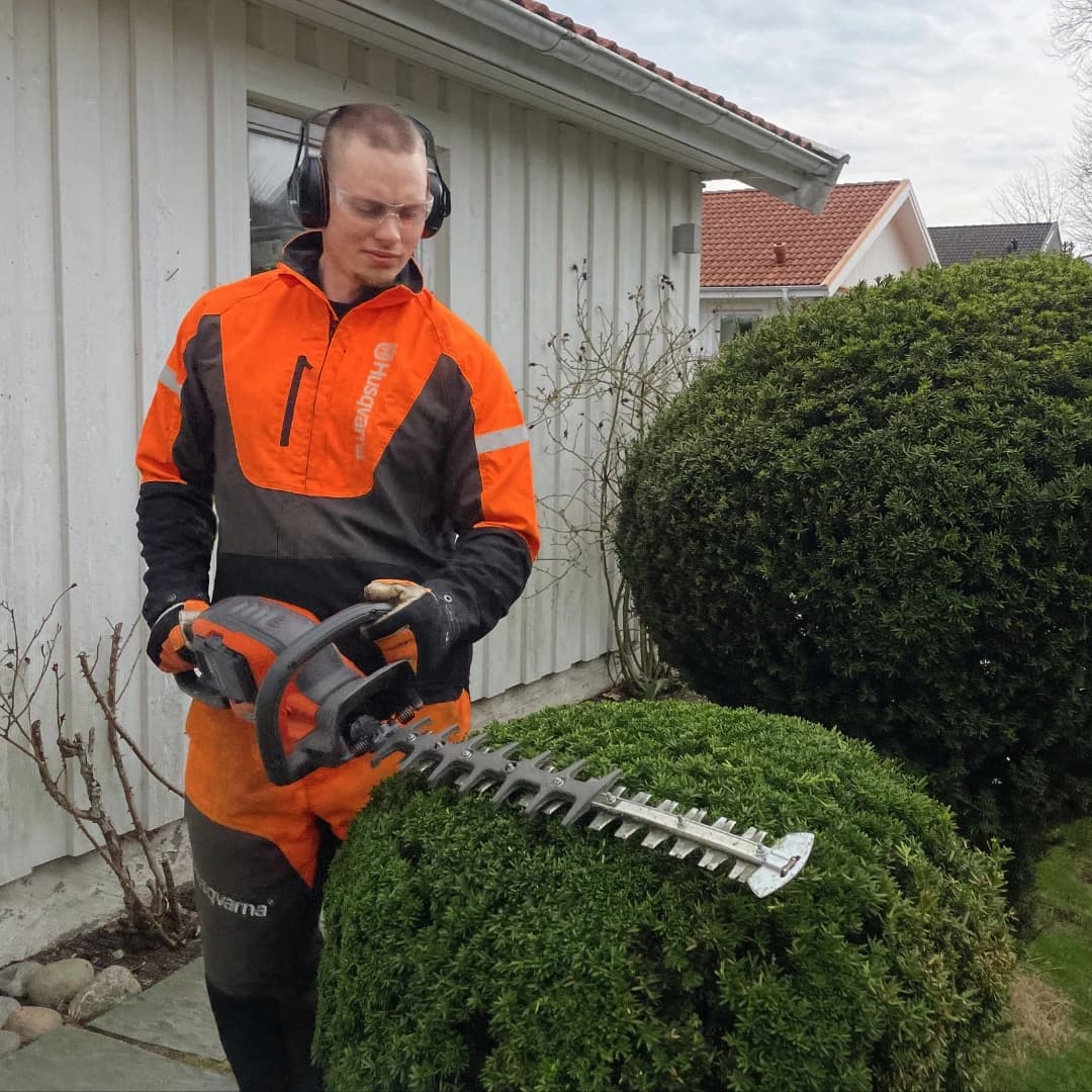 Professionell häckklippning på abonnemang